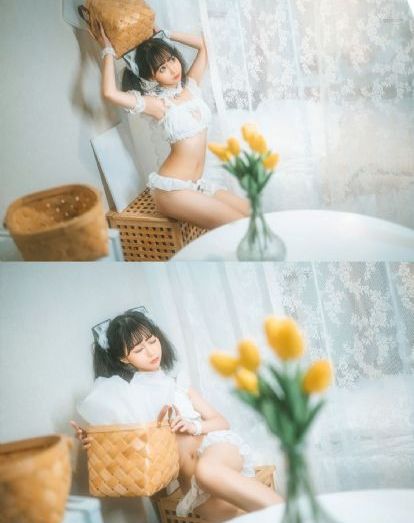 智齿韩国